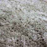 Carpet Cleaning in Dana Point
