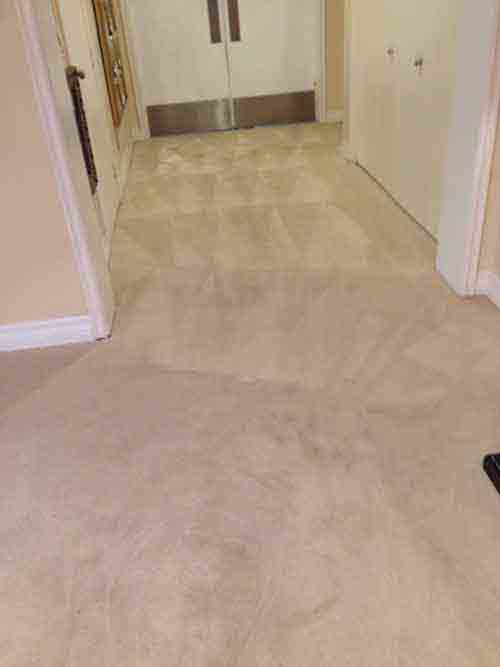 Carpet Cleaning Newport Beach, CA - Dr. Carpet Costa Mesa | Carpet ...