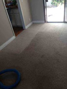 carpet cleaning irvine ca
