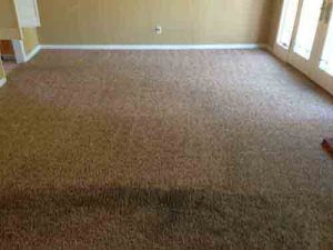 Carpet Cleaning Santa Ana Services