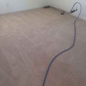 carpet cleaning lake forest