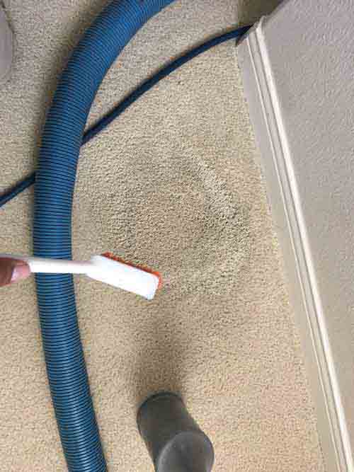 Carpet Cleaning Yorba Linda - Dr. Carpet Costa Mesa ...