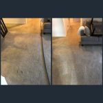 professional carpet cleaning solutions