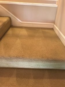 carpet cleaning in tustin ca