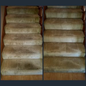 carpet cleaning in fountain valley california
