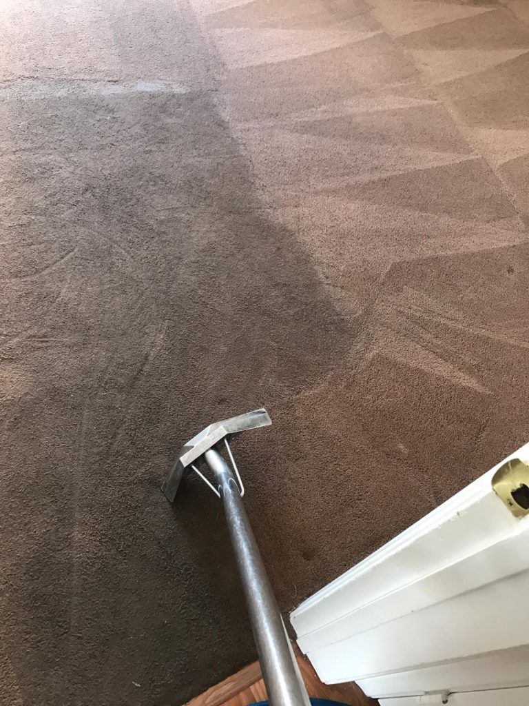 Deep Carpet Cleaning in Costa Mesa