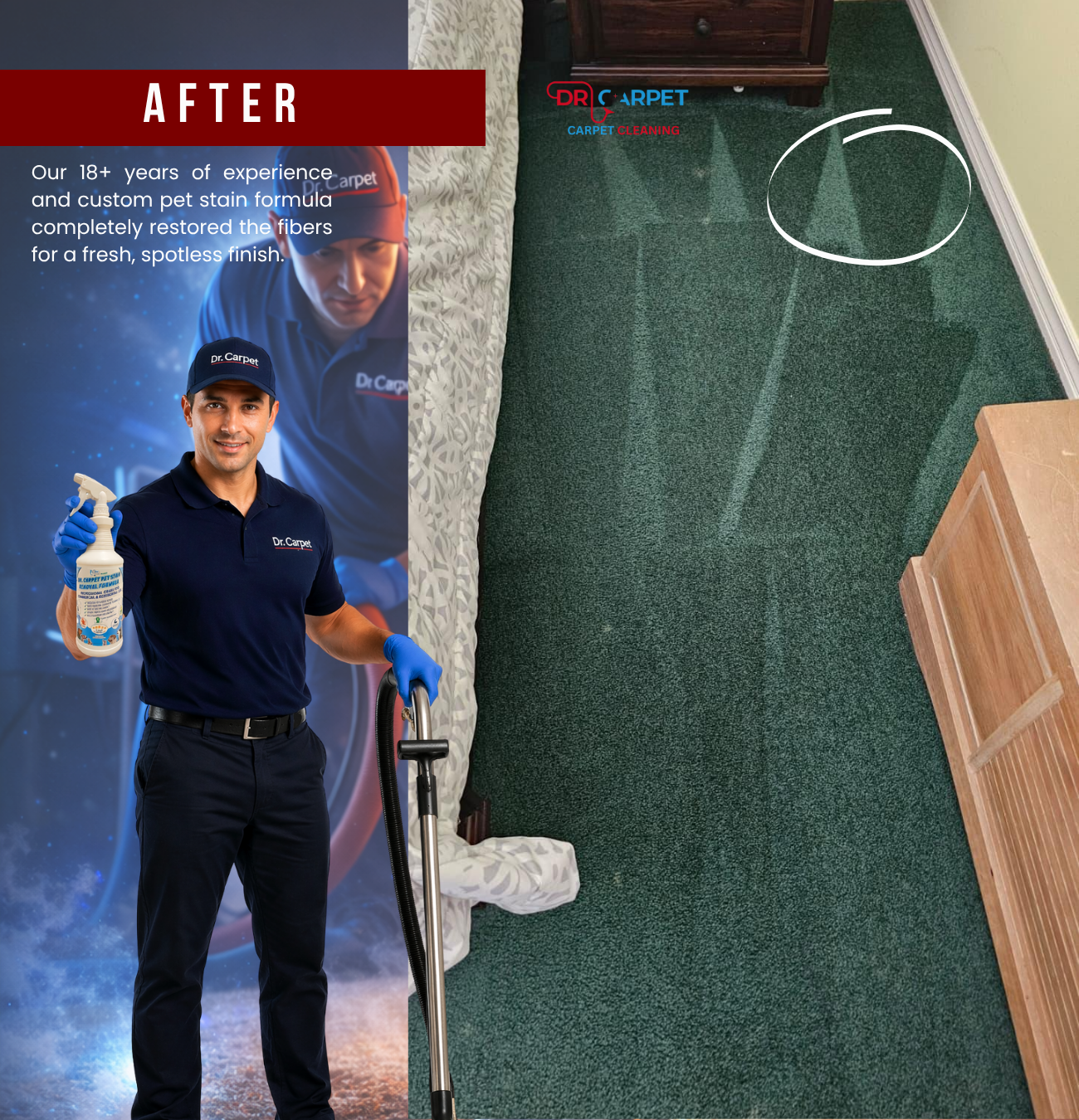carpet cleaning pet stains