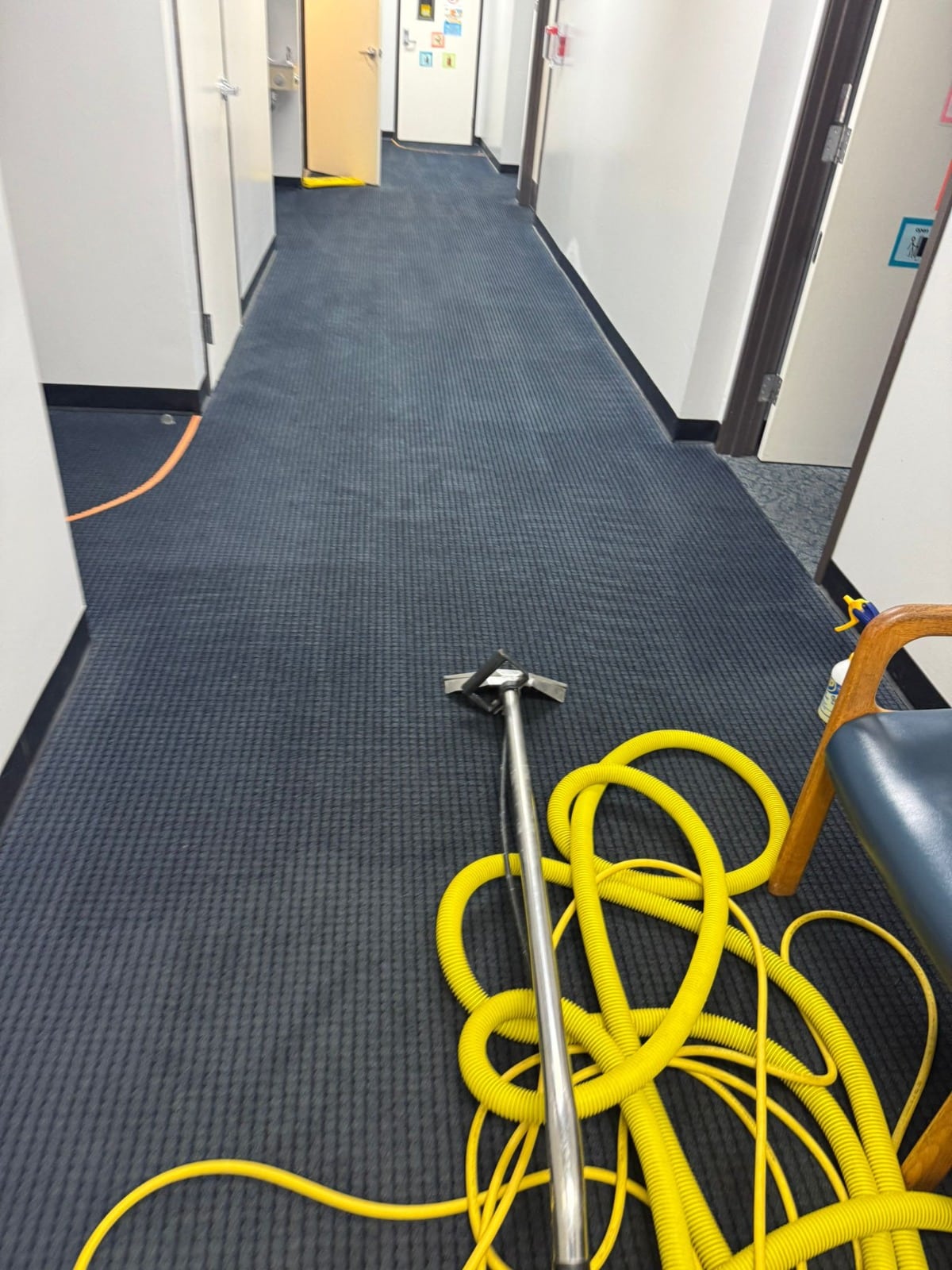 commercial carpet cleaning