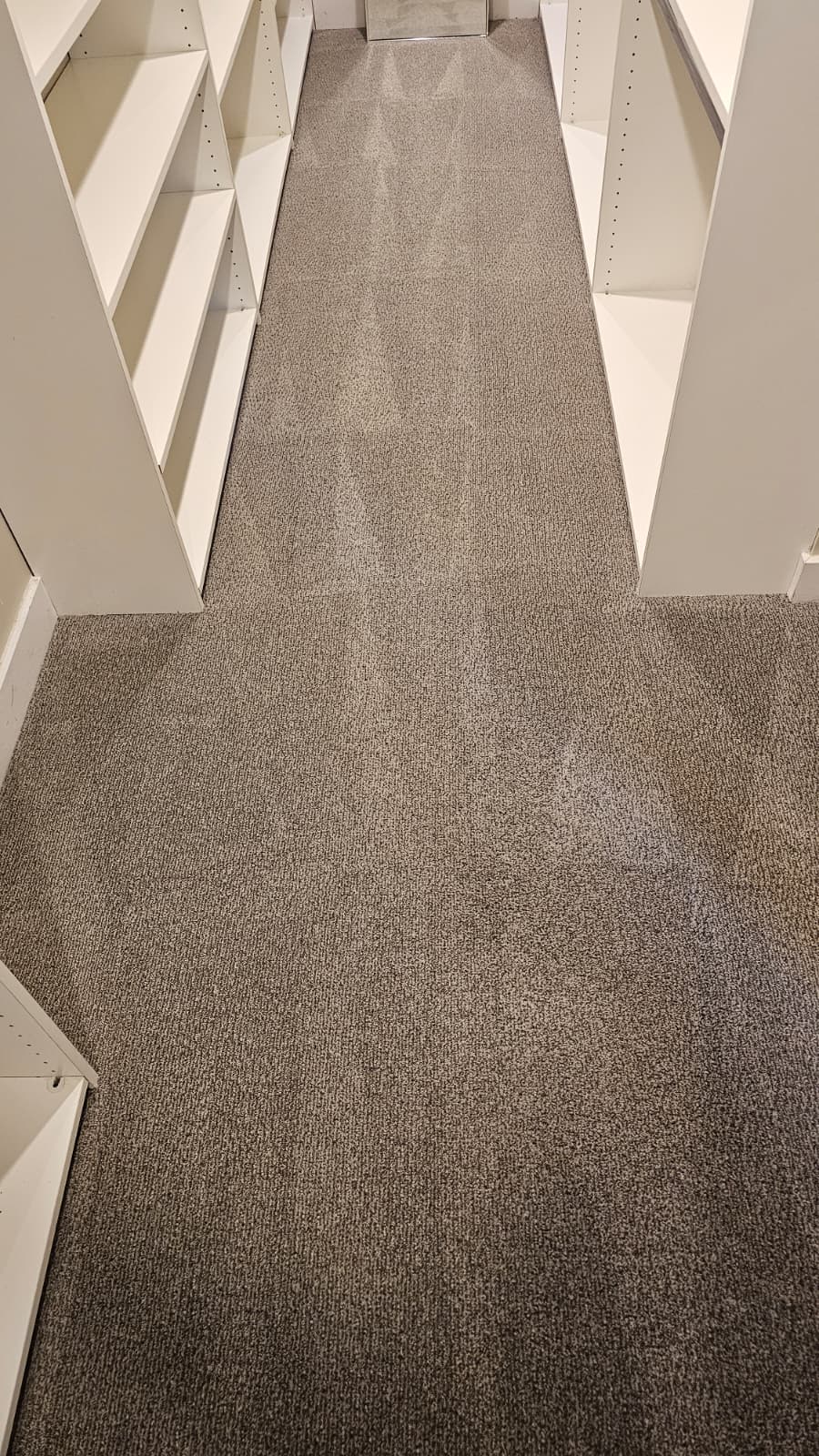 carpet cleaning Newport Coast